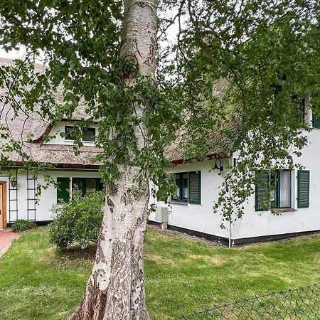 Gorgeous In With Wifi Lejlighed Prerow